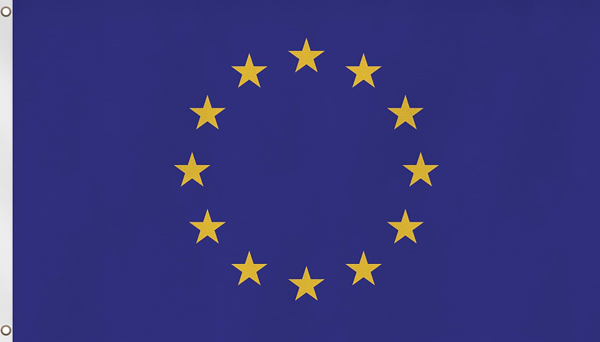 Bild von Fahne Flagge 300 cm × 500 cm Europa