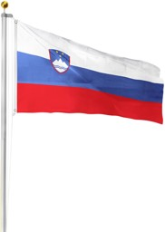 Bild von Fahnenmast 8,00 m mit Flagge 90 cm × 150 cm Slowenien