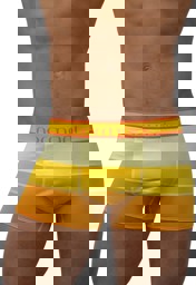 Zeige Details für 6 Stück Retro Boxershorts aus Baumwolle Retro Sunny Bild von 6 Stück Retro Boxershorts aus Baumwolle Retro Sunny