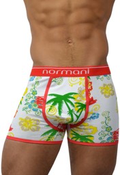 Bild von 6 Stück Retro Boxershorts aus Baumwolle Hawaiian