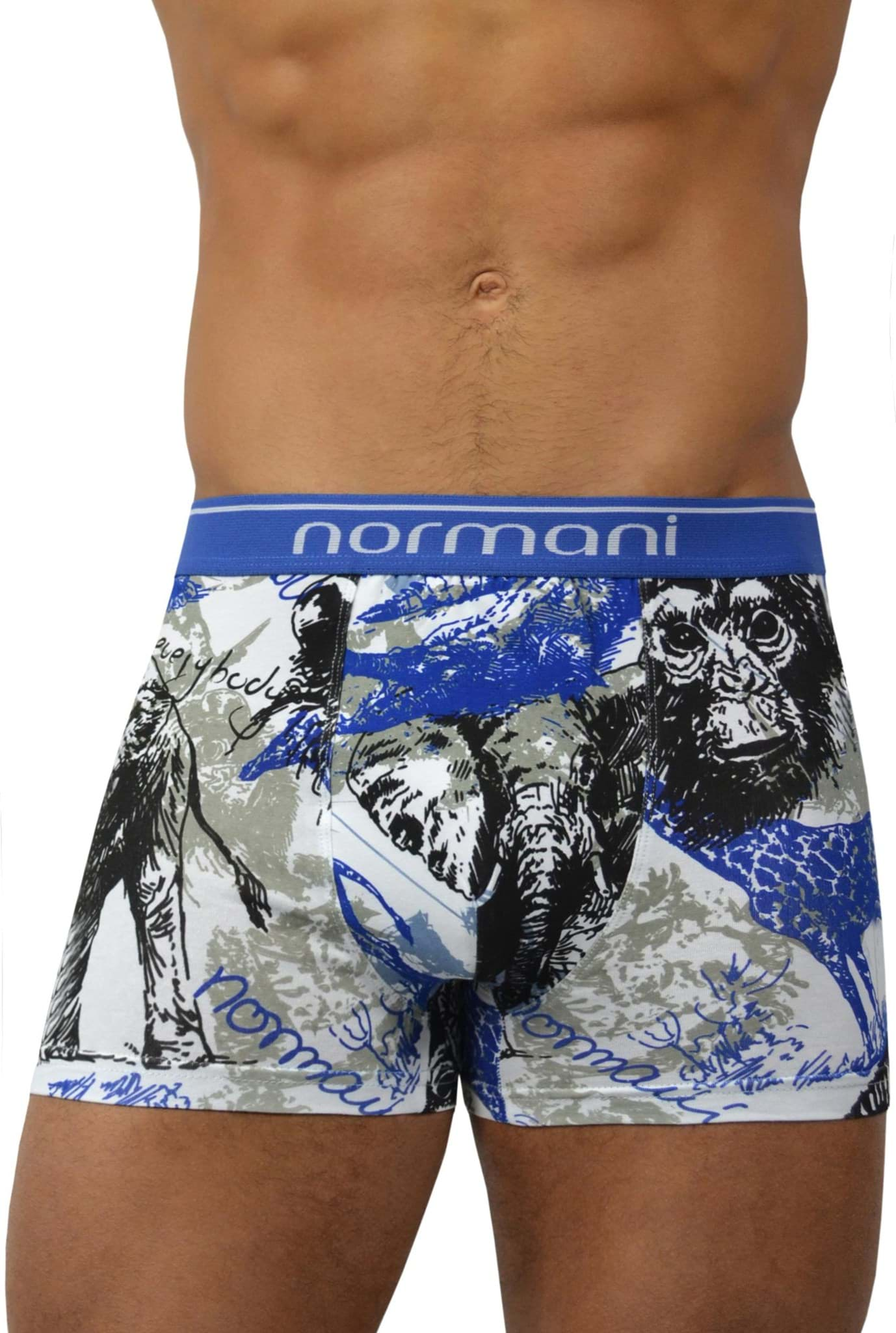 Bild von 6 Stück Retro Boxershorts aus Baumwolle Wild Animal