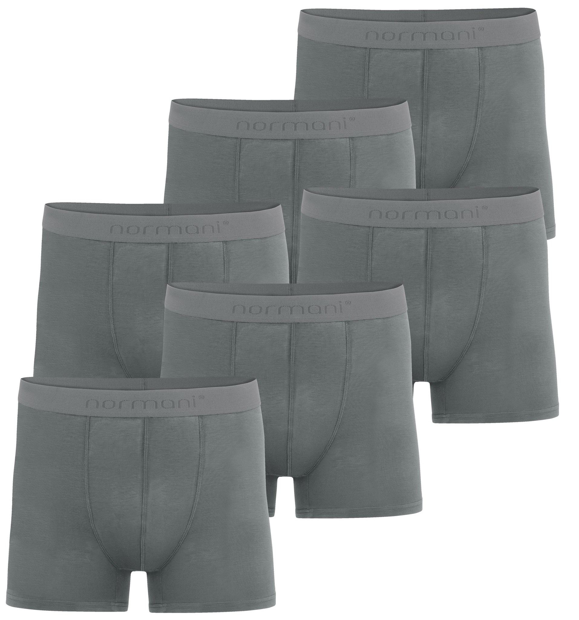 Bild von 6 Herren Boxershorts aus Bambus-Viskose „Cubao“ Hellgrau