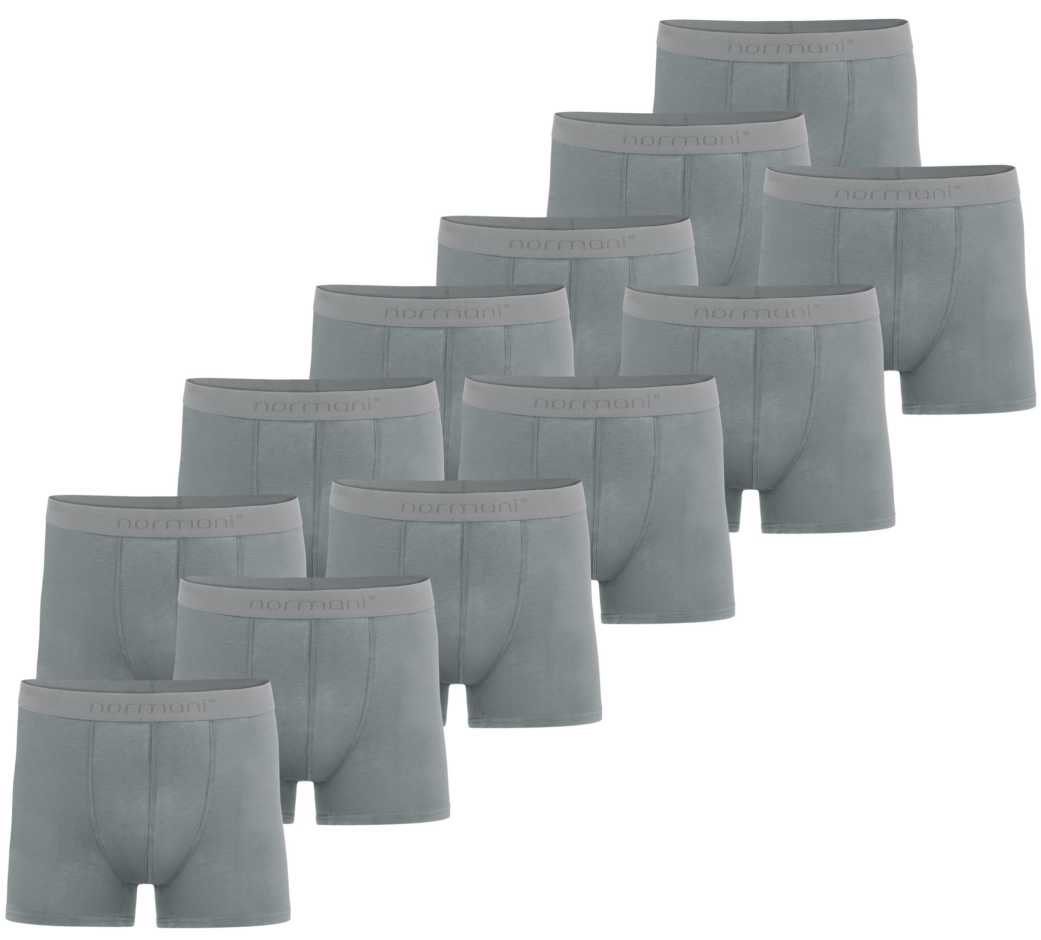 Bild von 12 Herren Bambus-Boxershorts Hellgrau