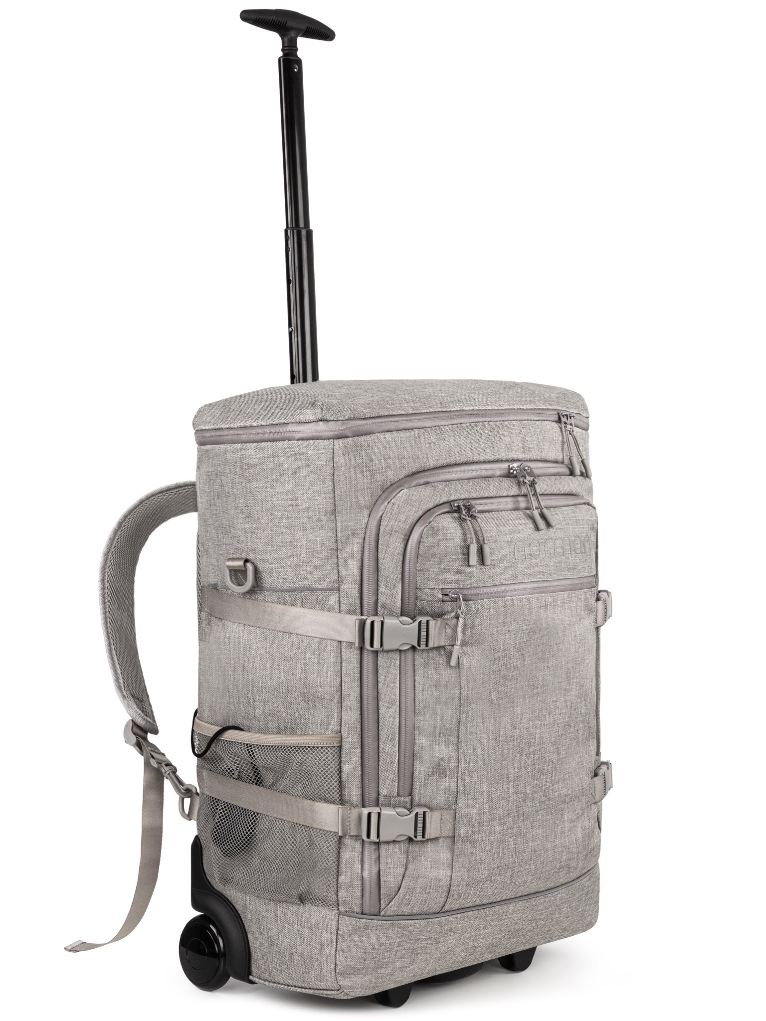 Bild von Reisetrolley mit Rucksackfunktion Beige