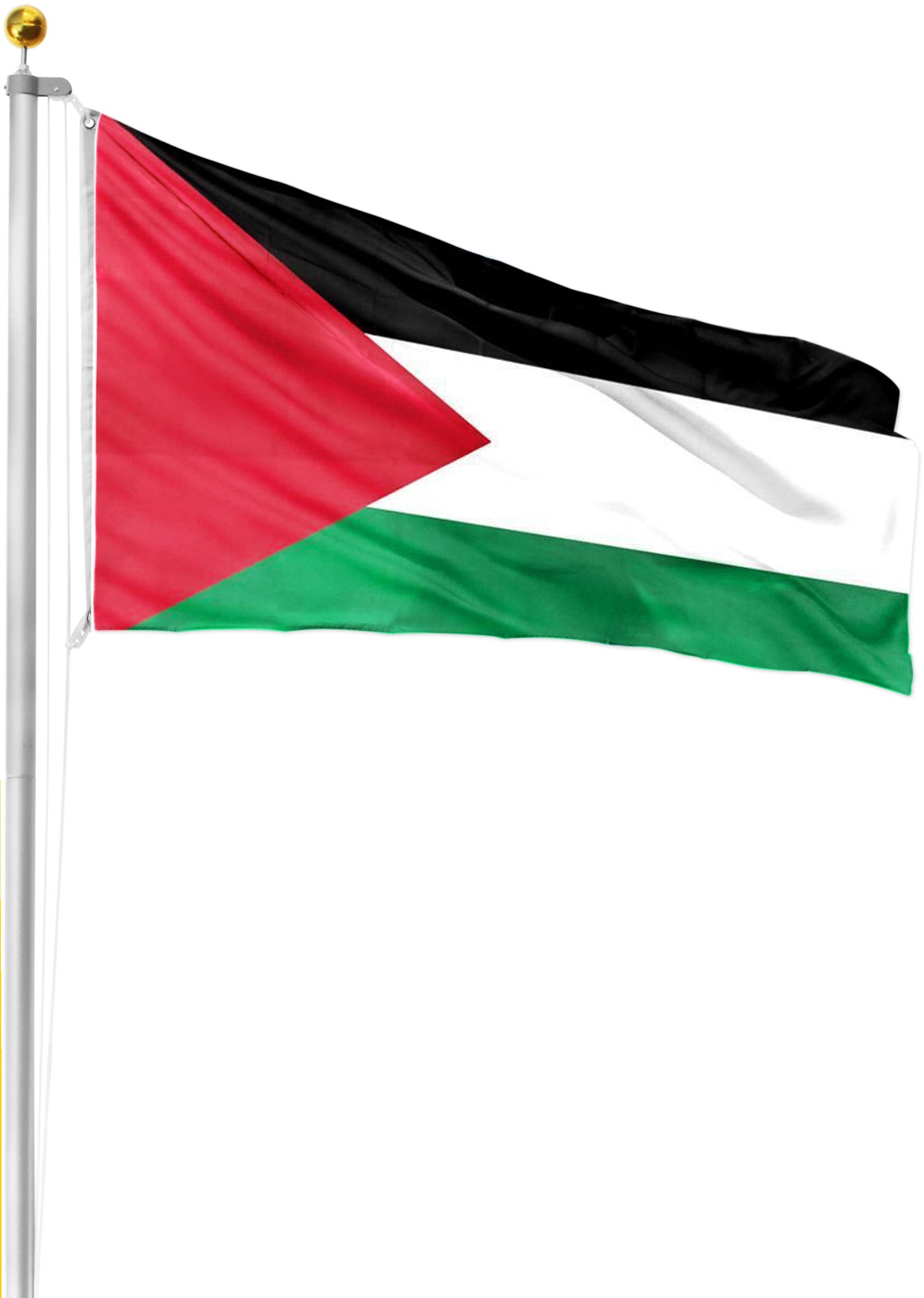 Bild von Fahnenmast 6,50 m mit Flagge 90 cm × 150 cm Palästina