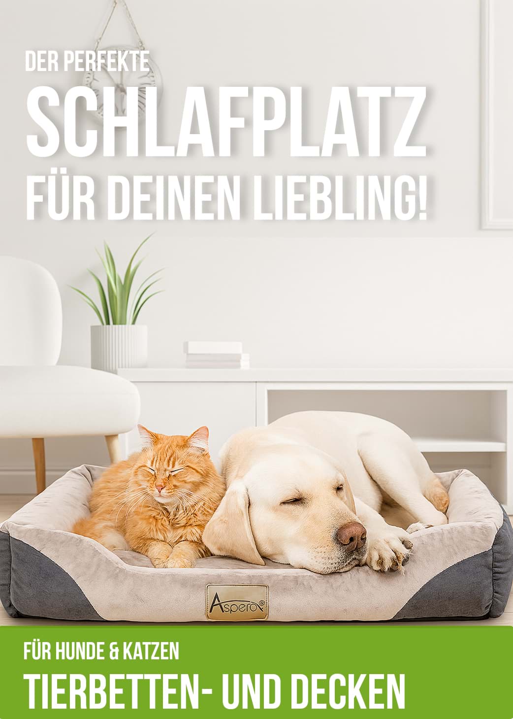 Herren Unterwäsche Boxershorts