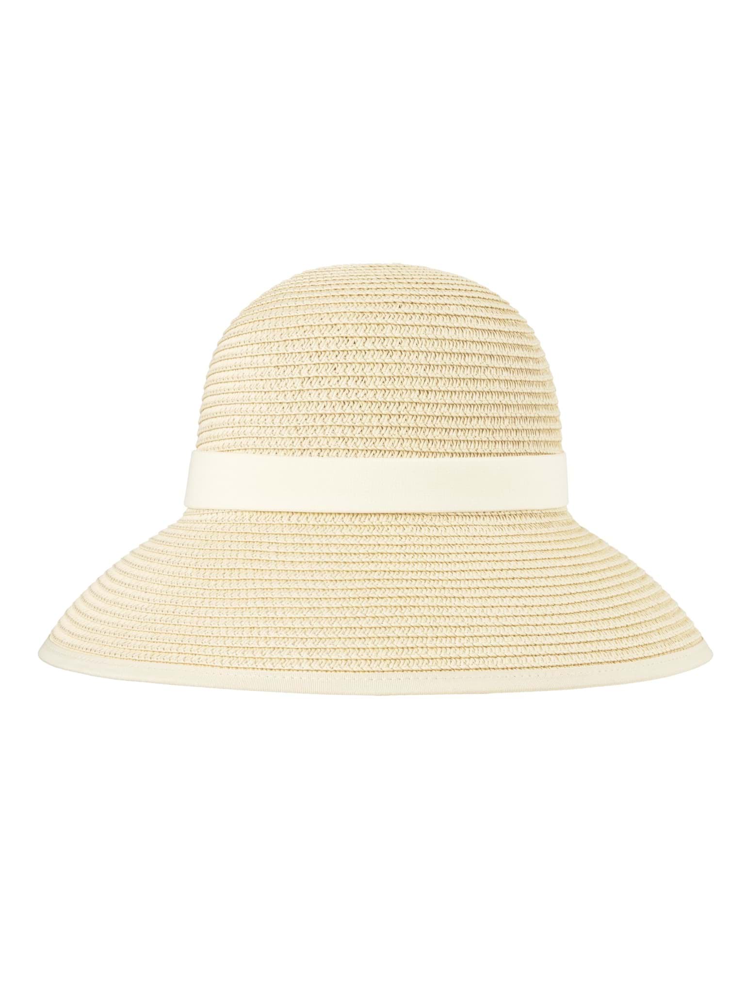 Bild von Damen Sonnenhut „Colina“ Natur