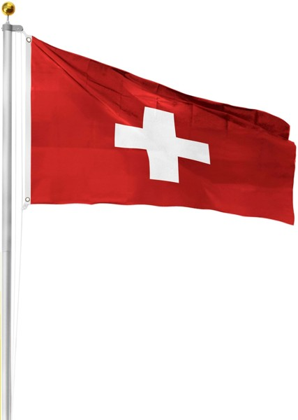 Bild von Fahnenmast 8,00 m mit Flagge 90 cm × 150 cm Schweiz