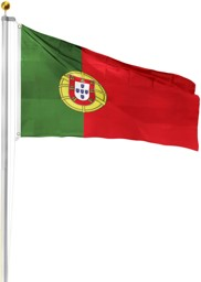 Bild von Fahnenmast 6,20 m mit Flagge 90 cm × 150 cm Portugal