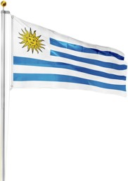 Bild von Fahnenmast 8,00 m mit Flagge 90 cm × 150 cm Uruguay